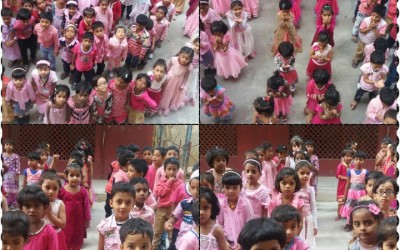 pink day – 12/11/2016